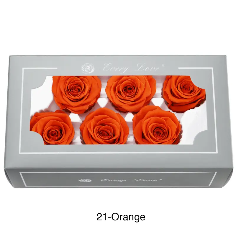 Preserved Flower A Grade Rose Head 5-6cm 6pcs