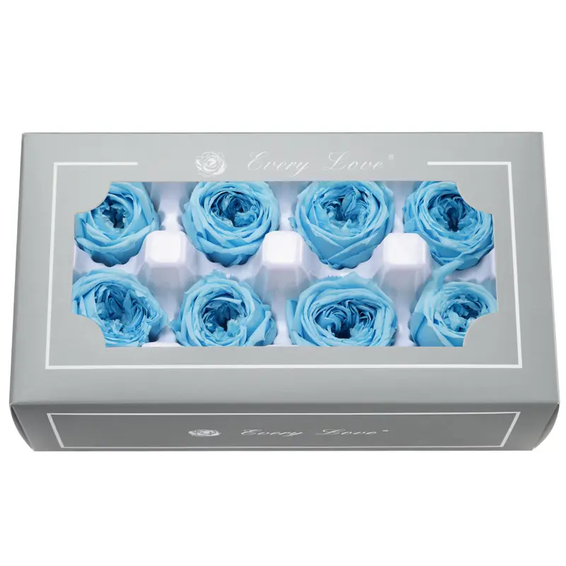 Preserved Flower A Grade Austin Rose Head 5-6cm 8pcs DIY material