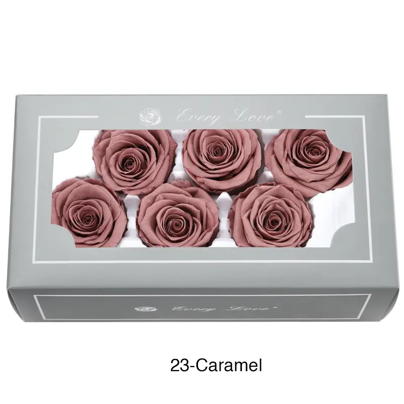 Preserved Flower A Grade Rose Head 5-6cm 6pcs
