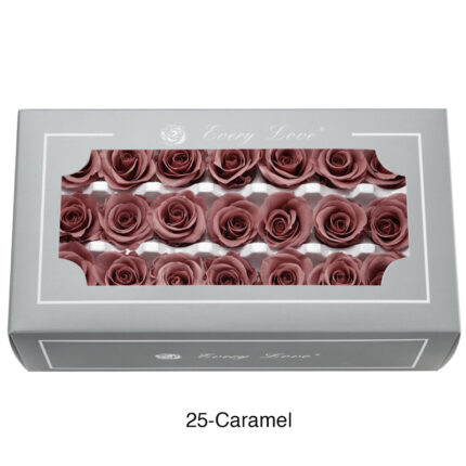Preserved Flower A Grade Rose Head 2-3cm