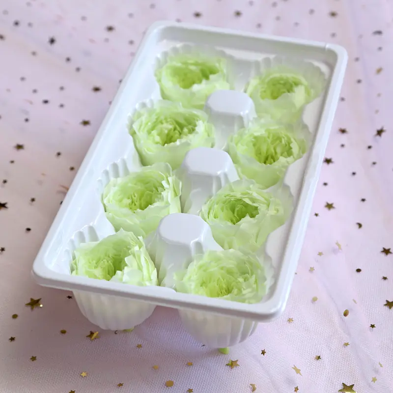 Preserved Flower A Grade Austin Rose Head 5-6cm 8pcs DIY material