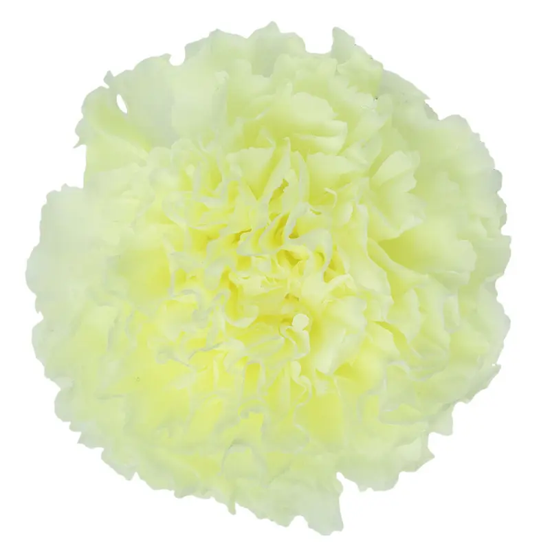 Preserved flower carnation flower head DIY material 4-5cm 8 pcs
