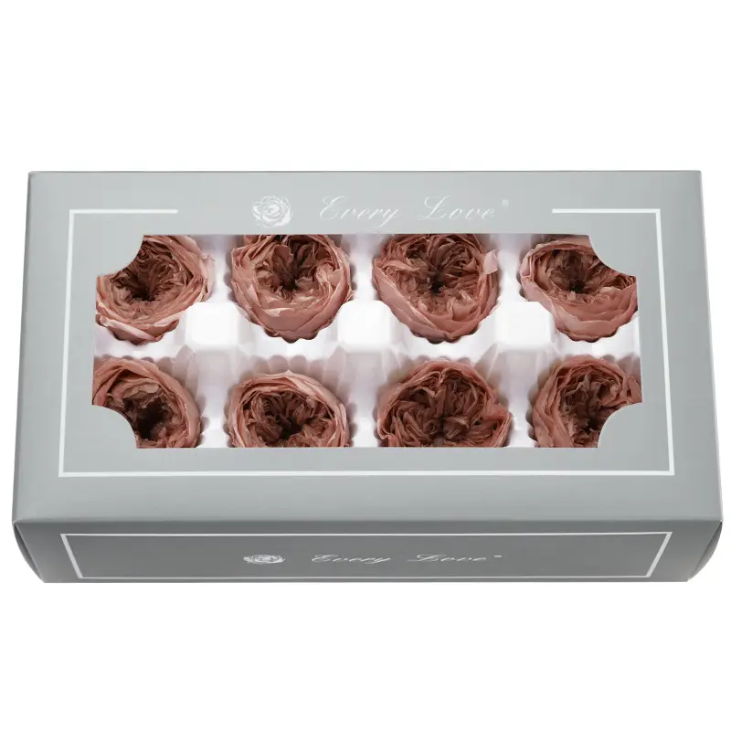 Preserved Flower A Grade Austin Rose Head 5-6cm 8pcs DIY material