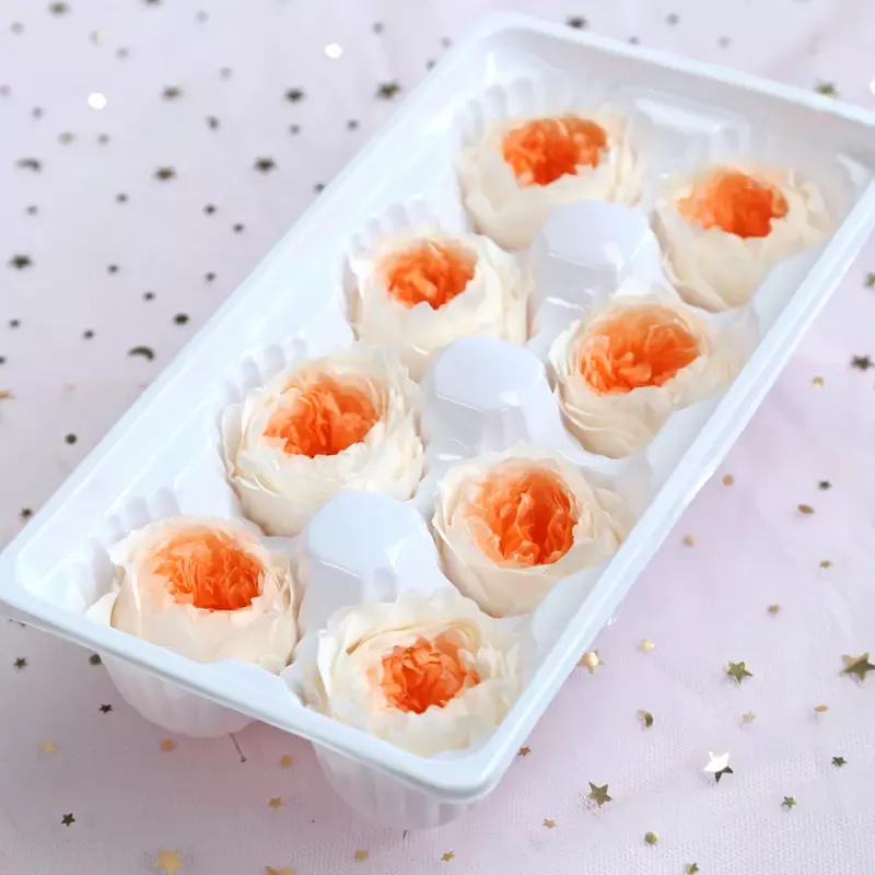 Preserved Flower A Grade Austin Rose Head 5-6cm 8pcs DIY material