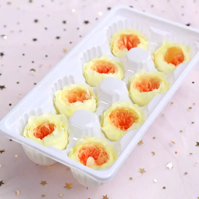 Preserved Flower A Grade Austin Rose Head 5-6cm 8pcs DIY material