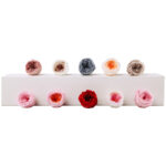 Preserved Flower A Grade Austin Rose Head 5-6cm 8pcs DIY material