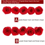 Eternal Flower A Grade Rose Head 4cm 10pcs