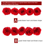 Eternal Flower A Grade Rose Head 4cm 10pcs