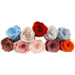 Preserved Flower DIY material A Grade Rose Head 4-5cm 8pcs