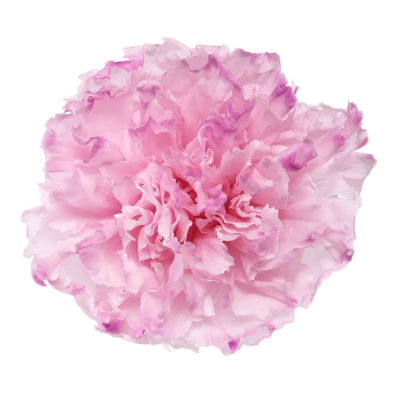 Preserved flower carnation flower head DIY material 4-5cm 8 pcs
