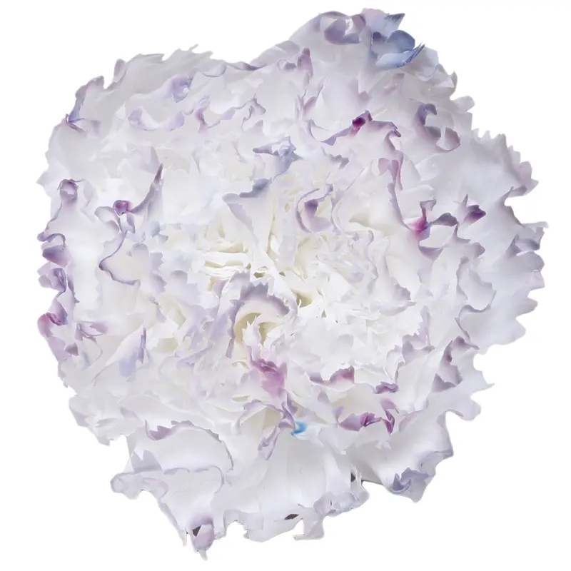 Preserved flower carnation flower head DIY material 4-5cm 8 pcs