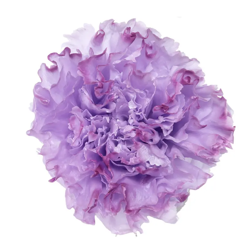 Preserved flower carnation flower head DIY material 4-5cm 8 pcs