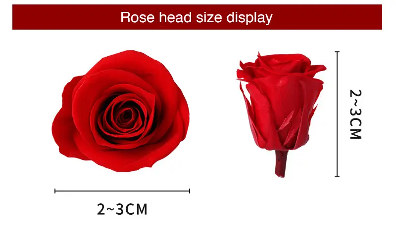 Preserved Flower A Grade Rose Head 2-3cm