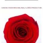 Eternal Flower A Grade Rose Head 4cm 10pcs