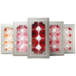 Preserved Flower A Grade Austin Rose Head 5-6cm 8pcs DIY material