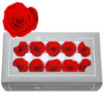 Eternal Flower A Grade Rose Head 4cm 10pcs