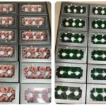 Preserved Flower DIY material A Grade Rose Head 4-5cm 8pcs