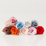 Preserved Flower A Grade Rose Head 2-3cm