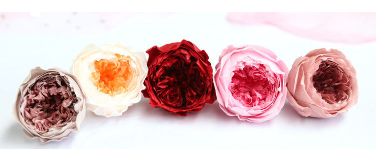 Preserved Flower A Grade Austin Rose Head 5-6cm 8pcs DIY material
