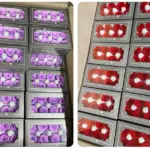 Preserved Flower DIY material A Grade Rose Head 4-5cm 8pcs