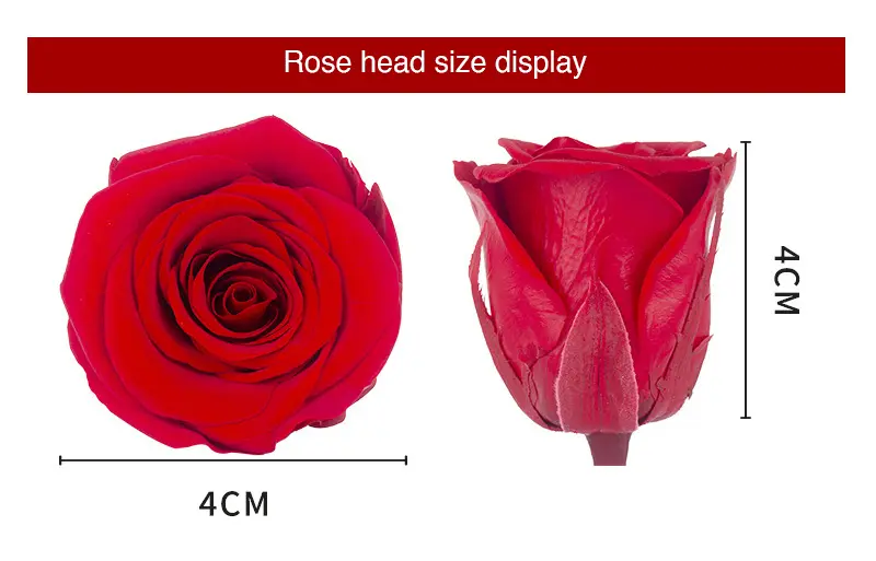Eternal Flower A Grade Rose Head 4cm 10pcs