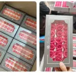 Preserved Flower A Grade Rose Head 2-3cm