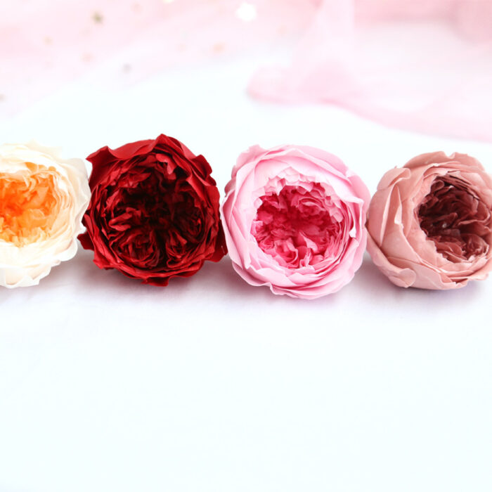 Preserved Flower A Grade Austin Rose Head 4-5cm 8pcs DIY material - Image 5