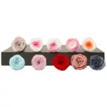 Preserved Flower DIY material A Grade Austin Rose Head 2-3cm 21pcs - Image 7