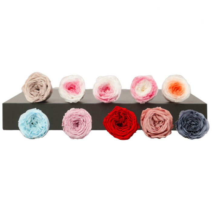 Preserved Flower DIY material A Grade Austin Rose Head 2-3cm 21pcs - Image 7