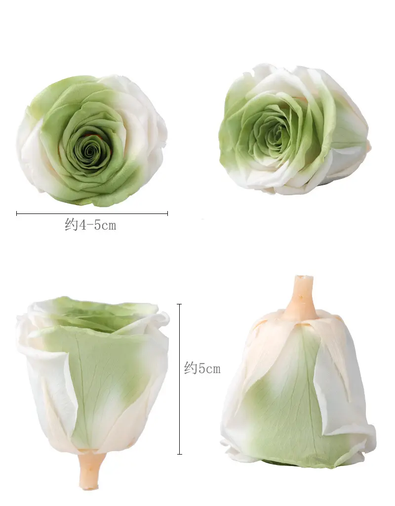 Grade A Preserved Flower Rainbow Color Gradient Rose Head 4-5cm 8 pcs