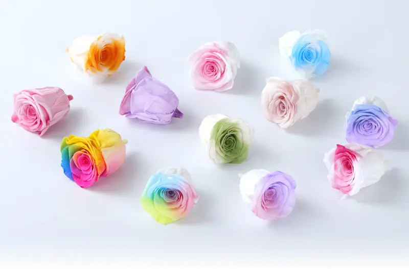 Grade A Preserved Flower Rainbow Color Gradient Rose Head 4-5cm 8 pcs