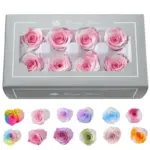 Grade A Preserved Flower Rainbow Color Gradient Rose Head 4-5cm 8 pcs