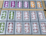 Preserved Flower Grade A Rainbow Color Gradient Rose Head 4-5cm 8 pcs - Image 4