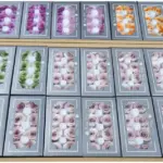 Preserved Flower Grade A Rainbow Color Gradient Rose Head 4-5cm 8 pcs - Image 4