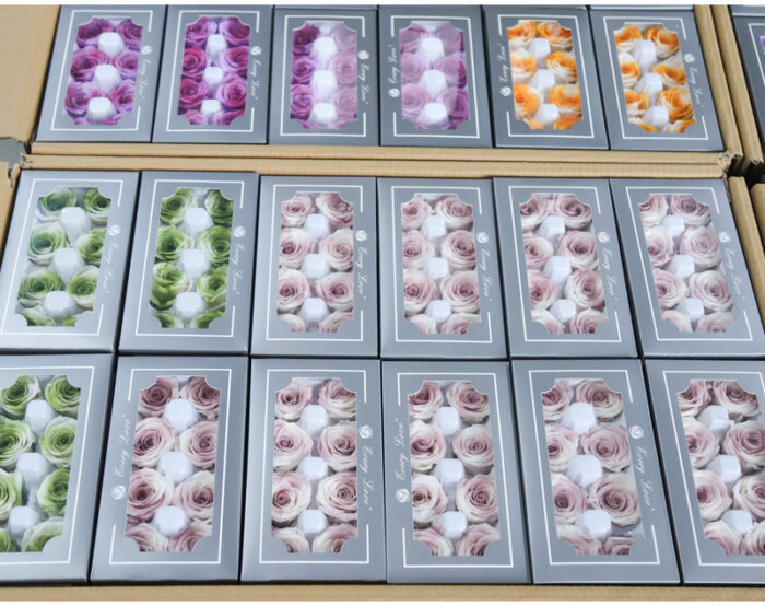 Preserved Flower Grade A Rainbow Color Gradient Rose Head 4-5cm 8 pcs - Image 4