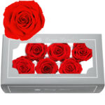 Preserved Flower A Grade Rose Head 5-6cm 6pcs