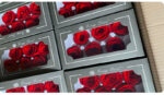 Preserved Flower A Grade Rose Head 5-6cm 6pcs