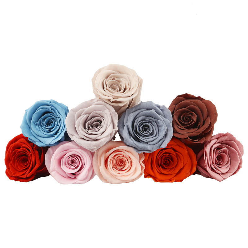 Preserved Flower A Grade Rose Head 5-6cm 6pcs