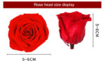 Preserved Flower A Grade Rose Head 5-6cm 6pcs