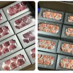 Preserved Flower A Grade Rose Head 5-6cm 6pcs