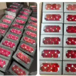 Preserved Flower A Grade Rose Head 5-6cm 6pcs