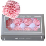 Preserved flower carnation flower head DIY material 4-5cm 8 pcs