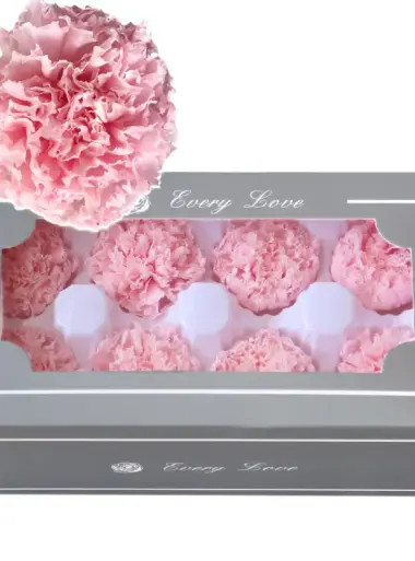Preserved flower carnation flower head DIY material 4-5cm 8 pcs