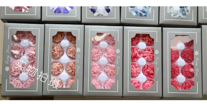 Preserved flower carnation flower head DIY material 4-5cm 8 pcs - Image 6