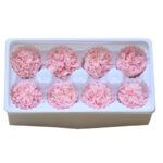 Preserved flower carnation flower head DIY material 4-5cm 8 pcs - Image 2