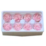 Preserved flower carnation flower head DIY material 4-5cm 8 pcs - Image 2