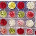 Preserved flower carnation flower head DIY material 4-5cm 8 pcs - Image 7