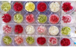 Preserved flower carnation flower head DIY material 4-5cm 8 pcs - Image 7