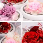 Eternal flower heart glass cover rose Christmas Eve gift Valentine's Day gift - Image 6