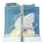 Preserved Flower Swan Acrylic Gift Box Valentine's Day Gift Birthday Gift - Image 4